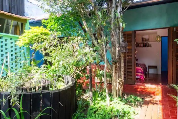 Casa Espacosa, Jardim Enorme, Refugio Natureza Sp Pousada *