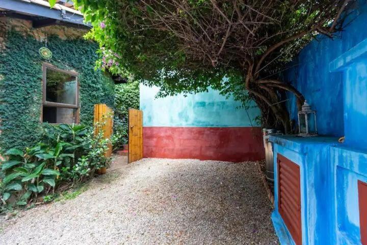 Casa Espacosa, Jardim Enorme, Refugio Natureza Sp * São Paulo
