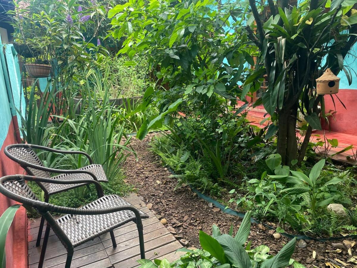 Casa Espacosa, Jardim Enorme, Refugio Natureza Sp *
